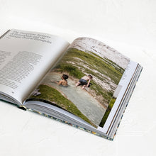 Load image into Gallery viewer, Hot Springs