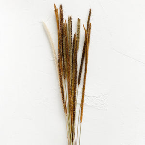 Dried Kilin Grass
