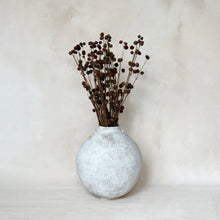 Load image into Gallery viewer, Yucca Pot