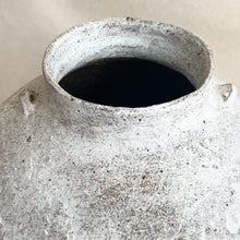 Load image into Gallery viewer, Yucca Pot