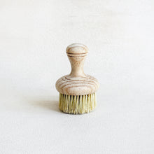 Load image into Gallery viewer, Short Handle Dish Brush