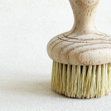 Load image into Gallery viewer, Short Handle Dish Brush