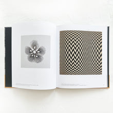Load image into Gallery viewer, Ruth Asawa: Life's Work