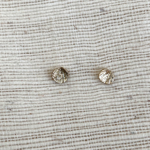 Limpet Shell Impression Studs