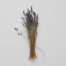 Load image into Gallery viewer, Dried Lavender Bundle