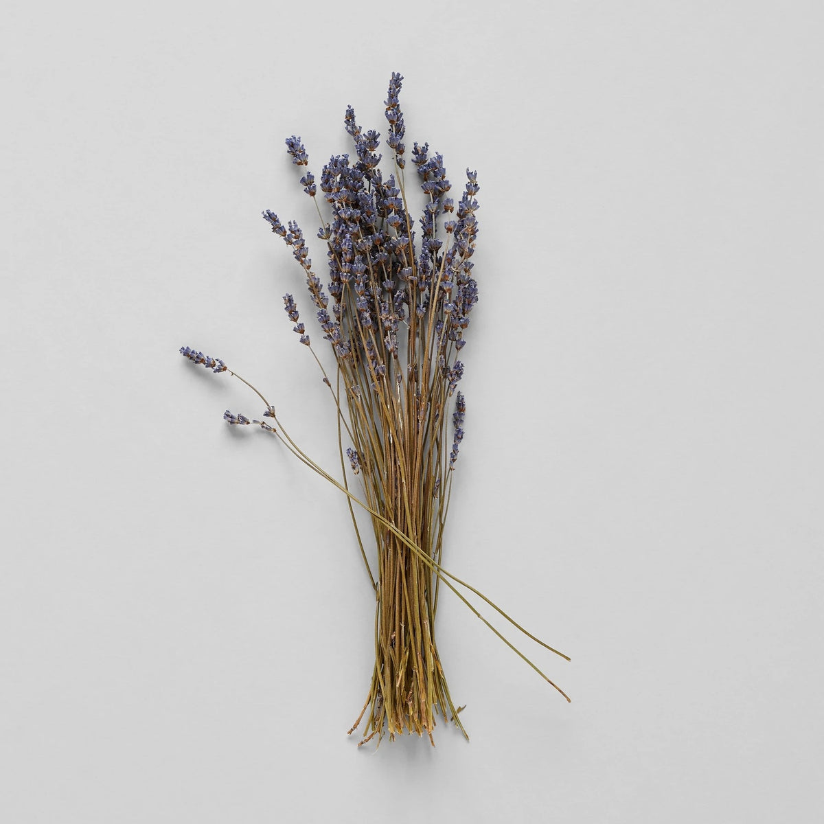 Dried Lavender Bundle – Wilderhouse