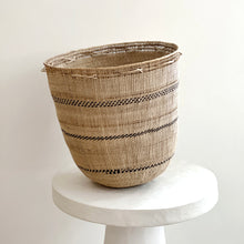 Load image into Gallery viewer, Wii Basket with Perisi Fungi