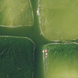 Organic Ceremonial Matcha