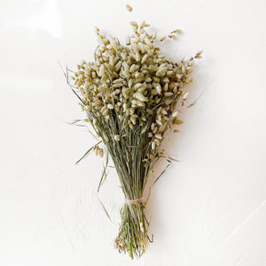 Dried Bee Grass