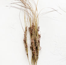 Load image into Gallery viewer, Dried Fluffy Grass