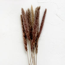 Load image into Gallery viewer, Dried Brown Pampas