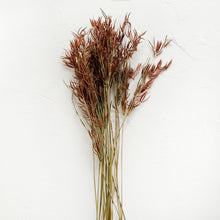 Load image into Gallery viewer, Dried Rice Field Weed