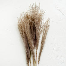 Load image into Gallery viewer, Dried Fine Root Pampas