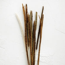 Load image into Gallery viewer, Dried Kilin Grass