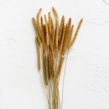 Load image into Gallery viewer, Dried Golden Grass