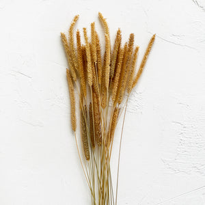 Dried Golden Grass