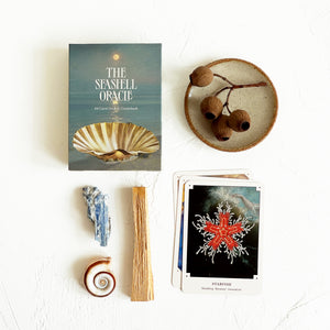 The Seashell Oracle Deck