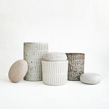 Load image into Gallery viewer, &#39;Shroom Jars