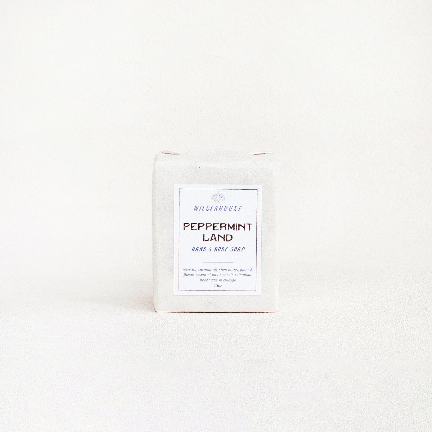 Peppermint Land Soap