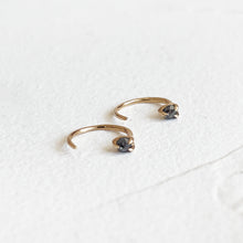 Load image into Gallery viewer, Shadow Nector Earrings