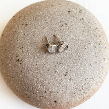 Load image into Gallery viewer, Silver Limpet Shell Studs