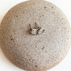 Silver Limpet Shell Studs