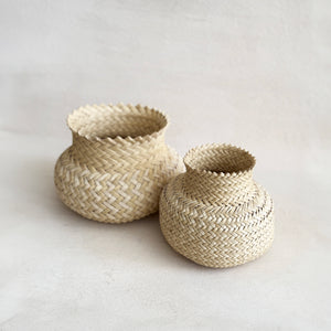 Tarahumara Basket