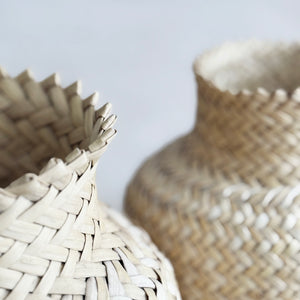 Tarahumara Basket