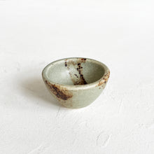 Load image into Gallery viewer, Small Dish in Seafoam