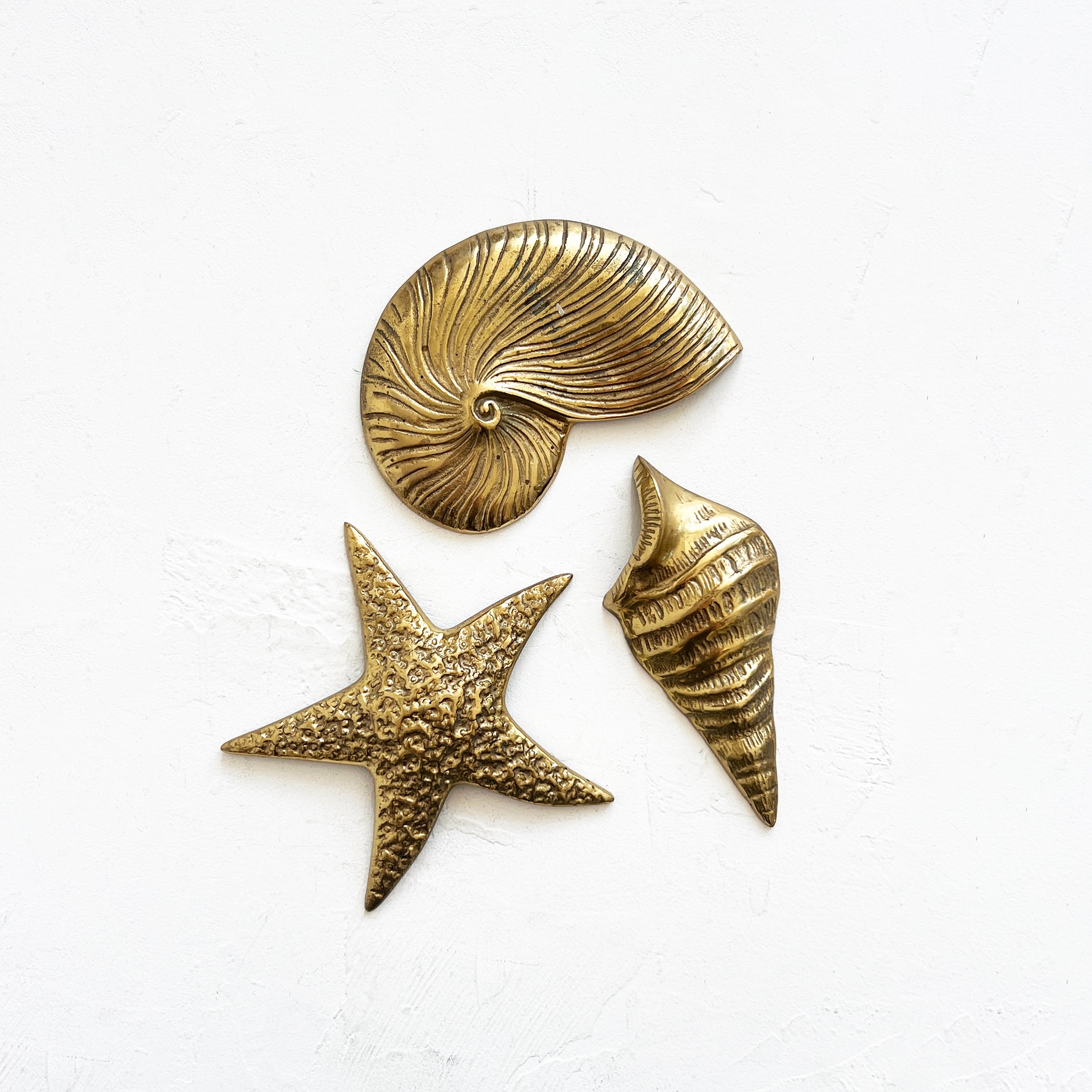 Vintage Brass Shell