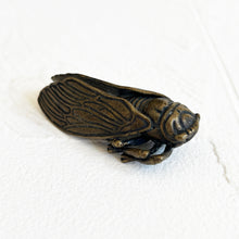 Load image into Gallery viewer, Brass Cicada