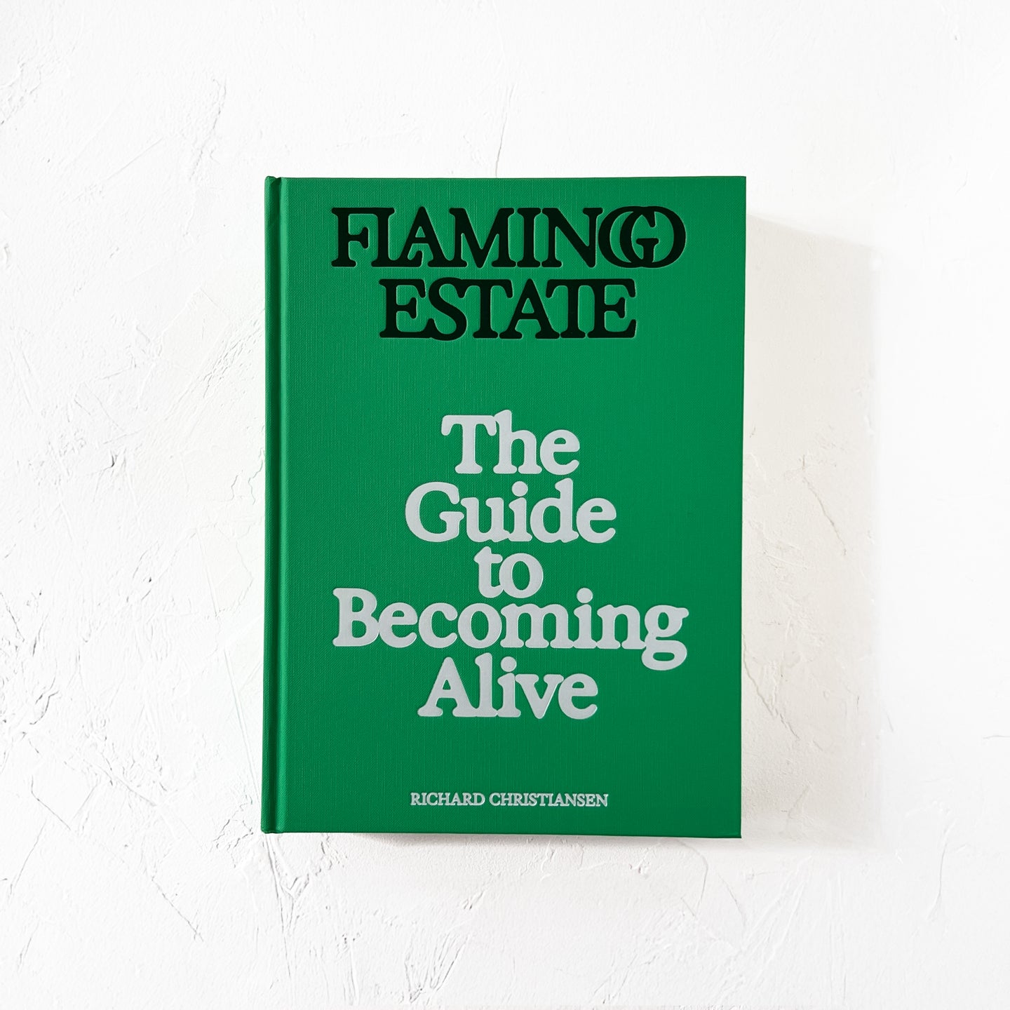 The Guide to Becoming Alive