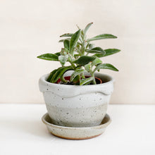 Load image into Gallery viewer, Colletti Wave Top Planter