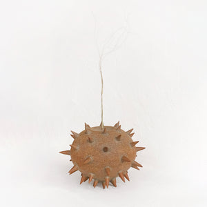 Spiky Object