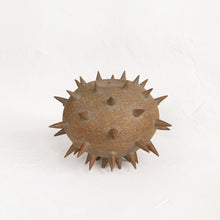 Load image into Gallery viewer, Spiky Object