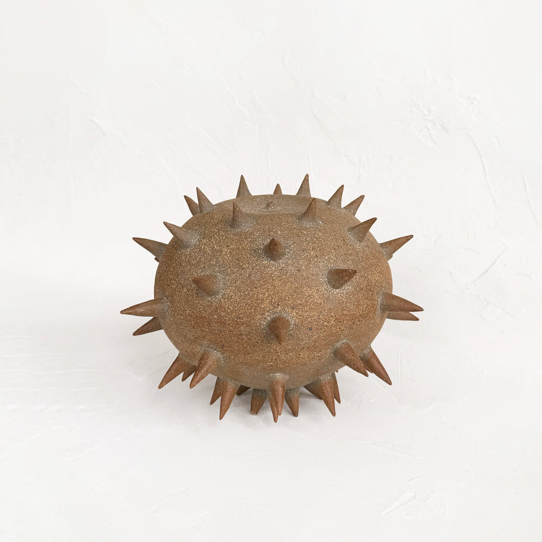 Spiky Object