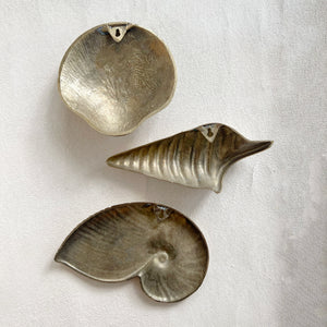 Vintage Nautilus Shell