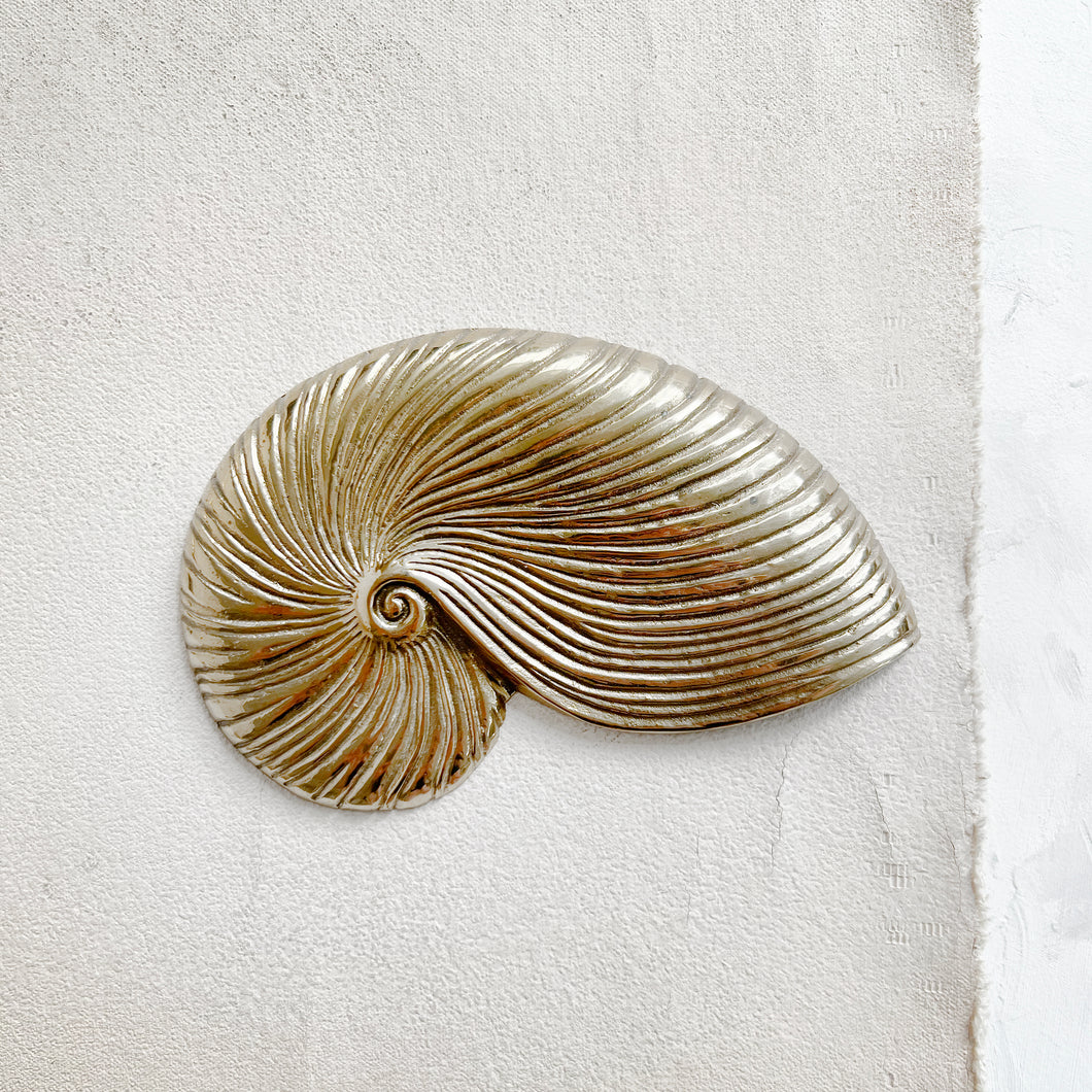 Vintage Nautilus Shell