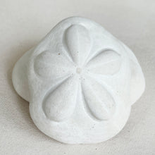 Load image into Gallery viewer, Biscuit Sand Dollar