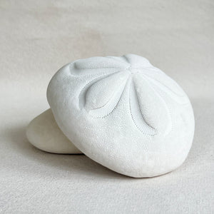 Biscuit Sand Dollar