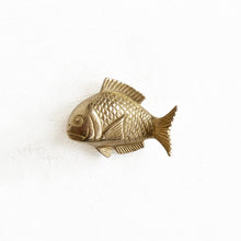 Load image into Gallery viewer, Sea Bream Paperweight in Gold
