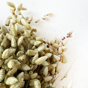 Dried Bee Grass