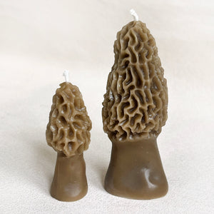 Morel Mushroom Beeswax Candle