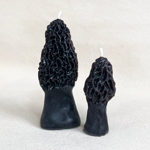 Morel Mushroom Beeswax Candle