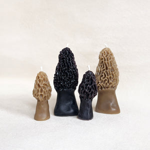 Morel Mushroom Beeswax Candle