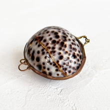 Load image into Gallery viewer, Tiger Cowrie Shell Box