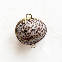 Load image into Gallery viewer, Tiger Cowrie Shell Box