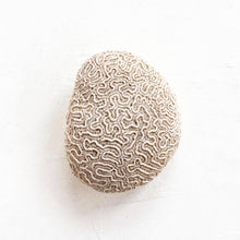 Load image into Gallery viewer, Fossilized Brain Coral