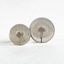 Load image into Gallery viewer, Dandelion Paperweight