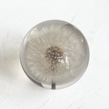 Load image into Gallery viewer, Dandelion Paperweight